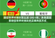 微信世界杯体彩怎么买-2023年，多角度探索微信世界杯体彩的正确购买方式