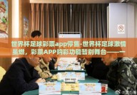 世界杯足球彩票app停售-世界杯足球激情虽燃，彩票APP购彩功能暂别舞台——一场关于理性观赛与合法参与的思索