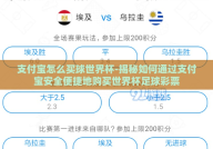 支付宝怎么买球世界杯-揭秘如何通过支付宝安全便捷地购买世界杯足球彩票