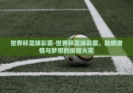世界杯足球彩票-世界杯足球彩票，助燃激情与梦想的绚丽火花