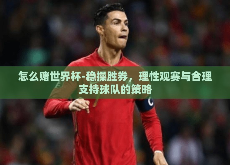 怎么赌世界杯-稳操胜券,理性观赛与合理支持球队的策略 怎么赌世界杯-稳操胜券,理性观赛与合理支持球队的策略