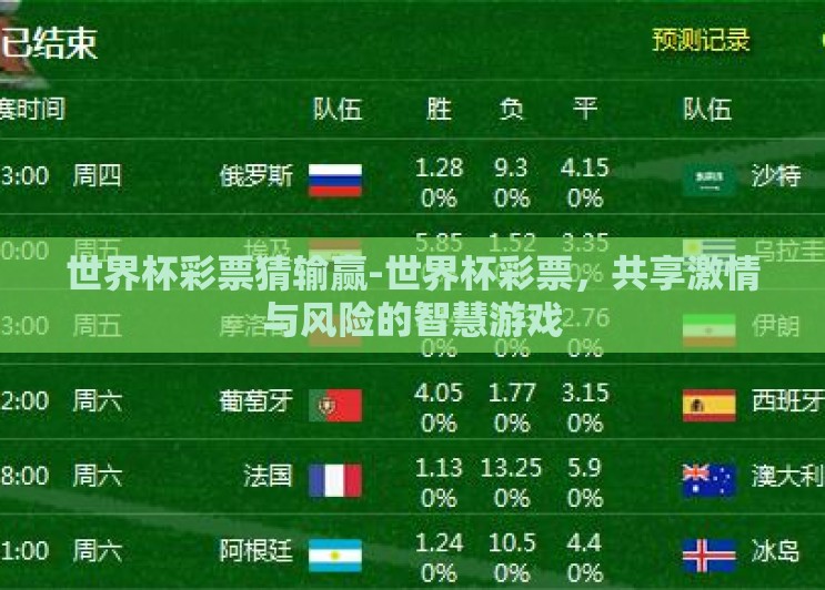 世界杯彩票猜输赢-世界杯彩票，共享激情与风险的智慧游戏