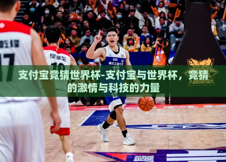 支付宝竞猜世界杯-支付宝与世界杯,竞猜的激情与科技的力量 支付宝竞猜世界杯-支付宝与世界杯,竞猜的激情与科技的力量