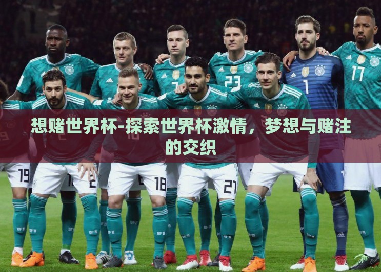 想赌世界杯-探索世界杯激情,梦想与赌注的交织 想赌世界杯-探索世界杯激情,梦想与赌注的交织