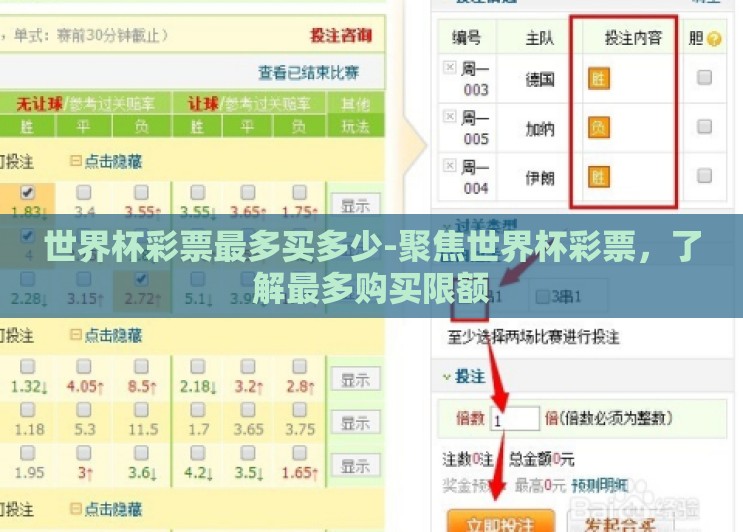 世界杯彩票最多买多少-聚焦世界杯彩票,了解最多购买限额 世界杯彩票最多买多少-聚焦世界杯彩票,了解最多购买限额