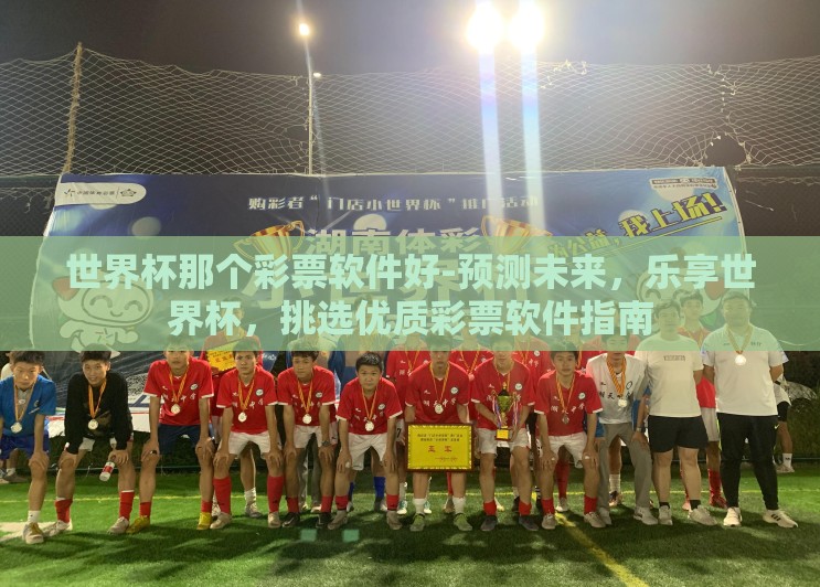 世界杯那个彩票软件好-预测未来，乐享世界杯，挑选优质彩票软件指南