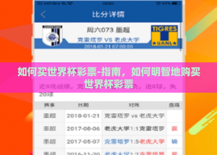 如何买世界杯彩票-指南，如何明智地购买世界杯彩票