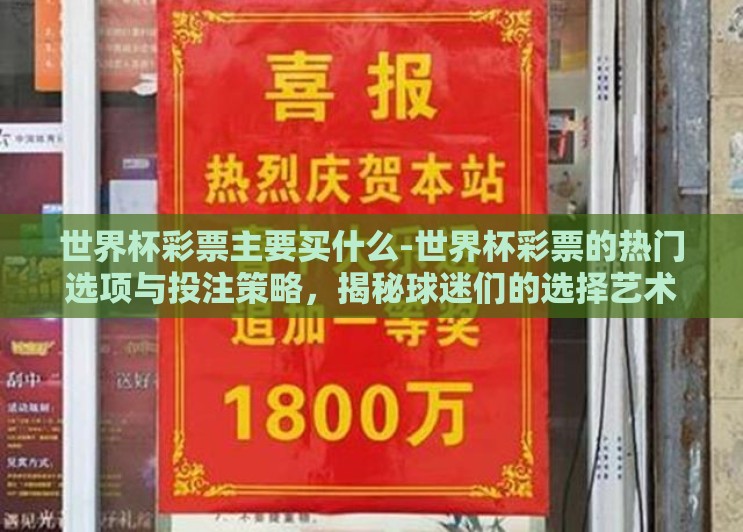 世界杯彩票主要买什么-世界杯彩票的热门选项与投注策略，揭秘球迷们的选择艺术