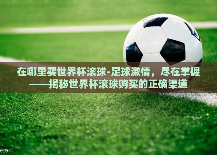 在哪里买世界杯滚球-足球激情，尽在掌握——揭秘世界杯滚球购买的正确渠道