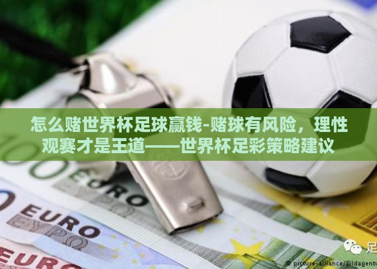 怎么赌世界杯足球赢钱-赌球有风险，理性观赛才是王道——世界杯足彩策略建议