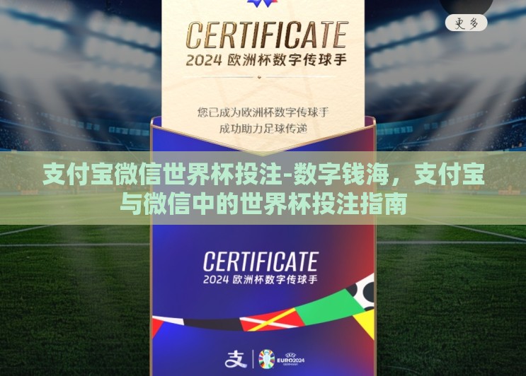支付宝微信世界杯投注-数字钱海，支付宝与微信中的世界杯投注指南