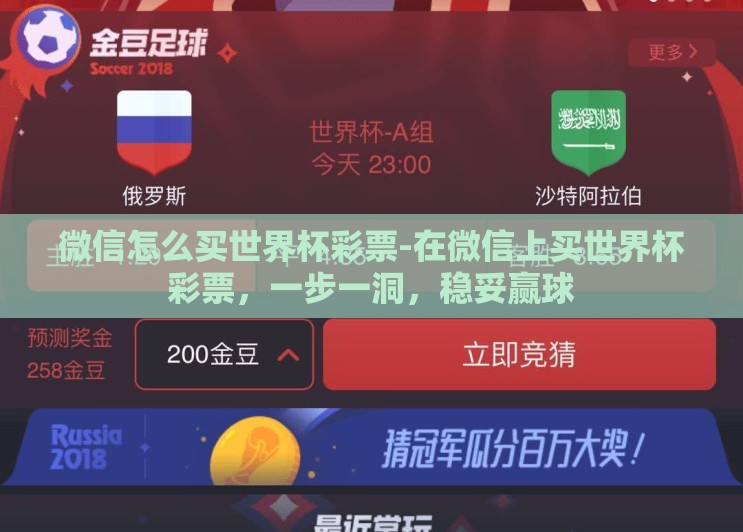 微信怎么买世界杯彩票-在微信上买世界杯彩票，一步一洞，稳妥赢球