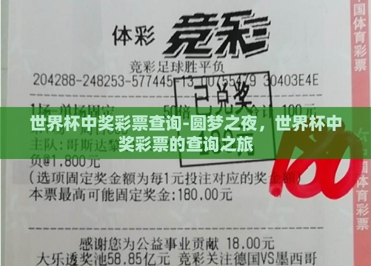 世界杯中奖彩票查询-圆梦之夜,世界杯中奖彩票的查询之旅 世界杯中奖彩票查询-圆梦之夜,世界杯中奖彩票的查询之旅