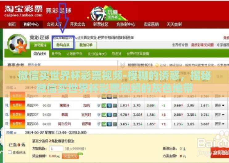 微信买世界杯彩票视频-模糊的诱惑，揭秘微信买世界杯彩票视频的灰色地带