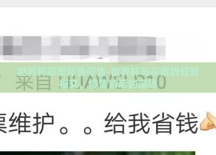 世界杯彩票停售停售-世界杯与彩票的短暂相交，停售背后的深思