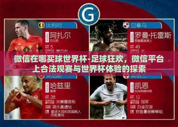 微信在哪买球世界杯-足球狂欢，微信平台上合法观赛与世界杯体验的探索