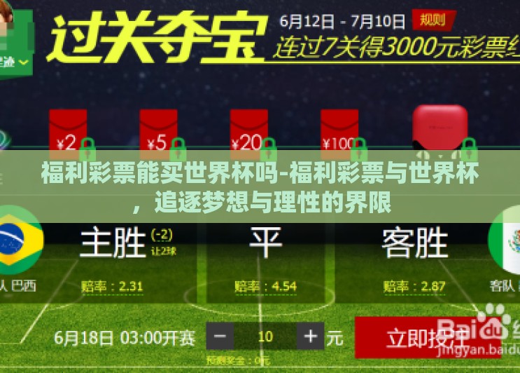 福利彩票能买世界杯吗-福利彩票与世界杯，追逐梦想与理性的界限