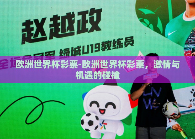 欧洲世界杯彩票-欧洲世界杯彩票，激情与机遇的碰撞