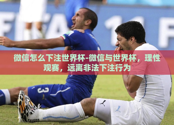 微信怎么下注世界杯-微信与世界杯，理性观赛，远离非法下注行为