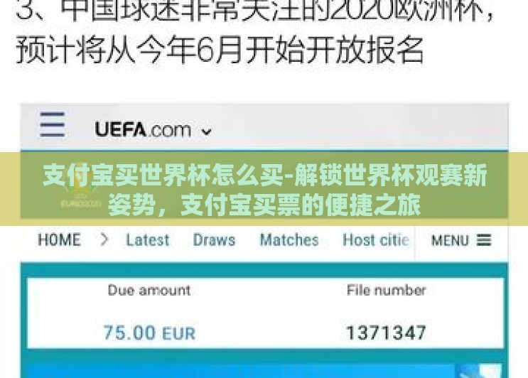 支付宝买世界杯怎么买-解锁世界杯观赛新姿势，支付宝买票的便捷之旅