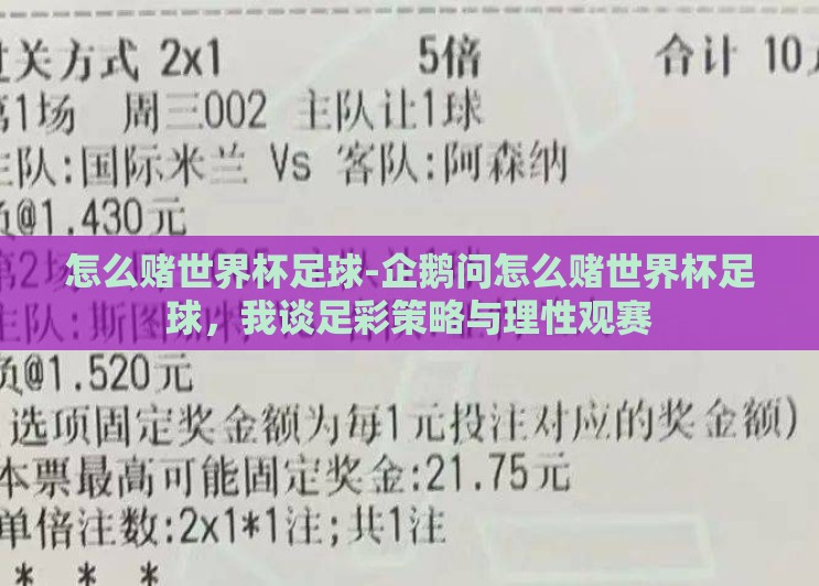 怎么赌世界杯足球-企鹅问怎么赌世界杯足球，我谈足彩策略与理性观赛
