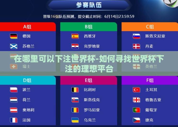 在哪里可以下注世界杯-如何寻找世界杯下注的理想平台 在哪里可以下注世界杯-如何寻找世界杯下注的理想平台