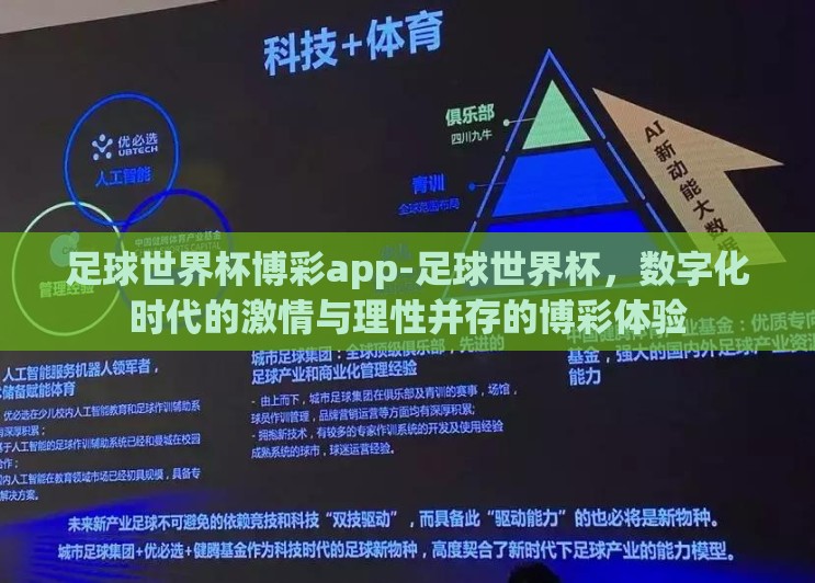 足球世界杯博彩app-足球世界杯，数字化时代的激情与理性并存的博彩体验