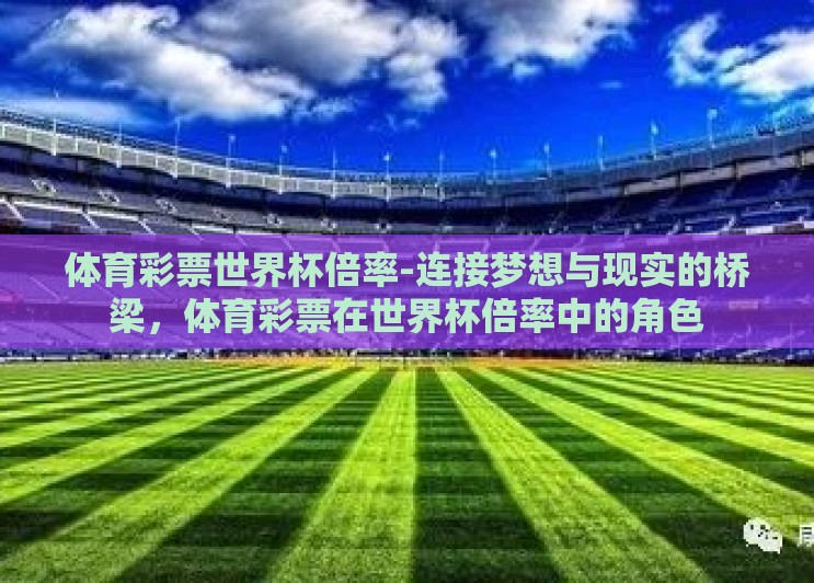 体育彩票世界杯倍率-连接梦想与现实的桥梁，体育彩票在世界杯倍率中的角色