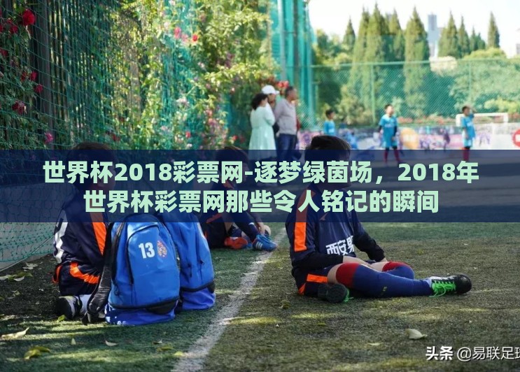 世界杯2018彩票网-逐梦绿茵场,2018年世界杯彩票网那些令人铭记的瞬间 世界杯2018彩票网-逐梦绿茵场,2018年世界杯彩票网那些令人铭记的瞬间