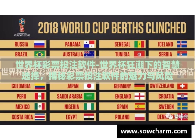 世界杯彩票投注软件-世界杯狂潮下的智慧选择，揭秘彩票投注软件的魅力与风险