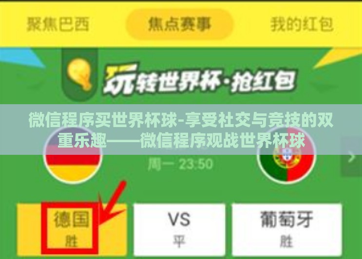 微信程序买世界杯球-享受社交与竞技的双重乐趣——微信程序观战世界杯球
