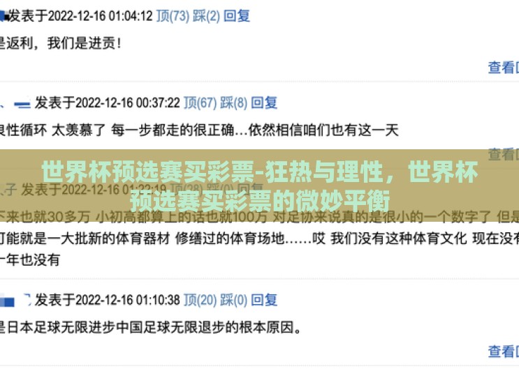 世界杯预选赛买彩票-狂热与理性，世界杯预选赛买彩票的微妙平衡