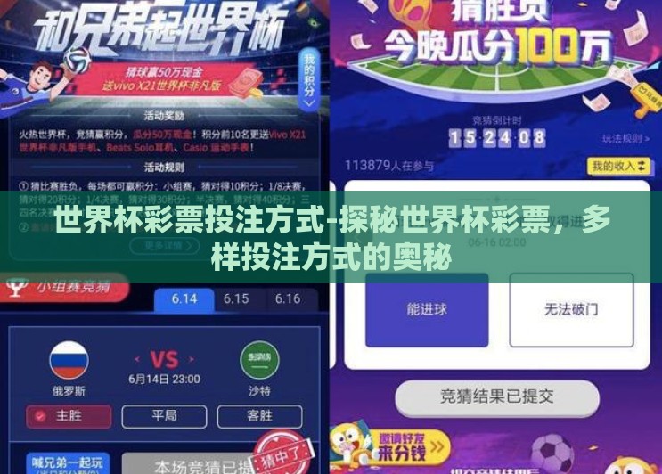 世界杯彩票投注方式-探秘世界杯彩票，多样投注方式的奥秘