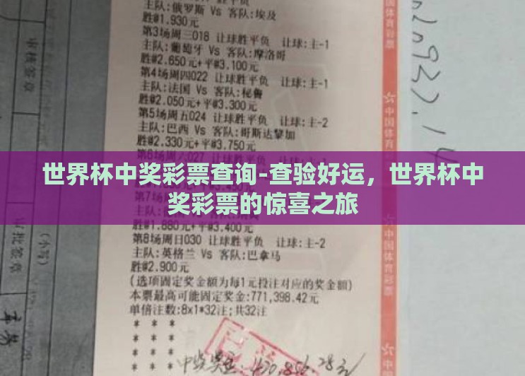 世界杯中奖彩票查询-查验好运，世界杯中奖彩票的惊喜之旅