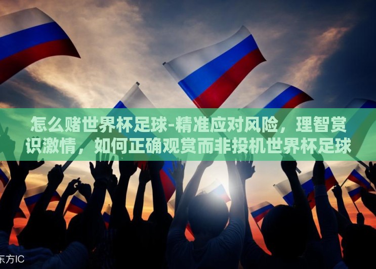 怎么赌世界杯足球-精准应对风险，理智赏识激情，如何正确观赏而非投机世界杯足球