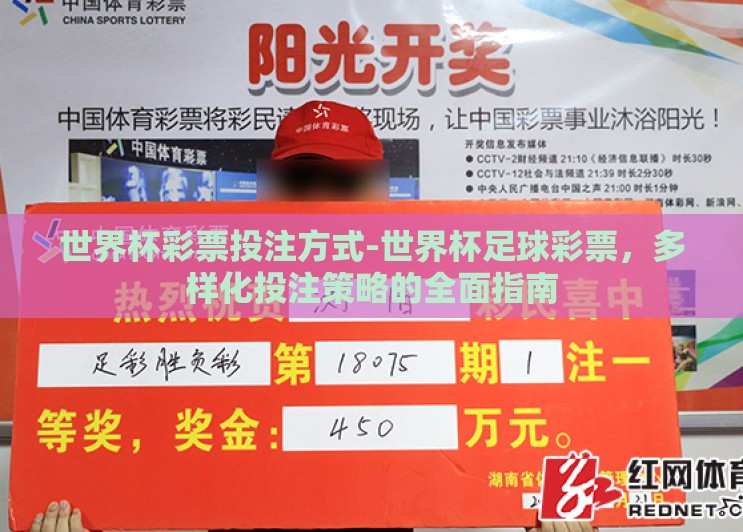 世界杯彩票投注方式-世界杯足球彩票,多样化投注策略的全面指南 世界杯彩票投注方式-世界杯足球彩票,多样化投注策略的全面指南