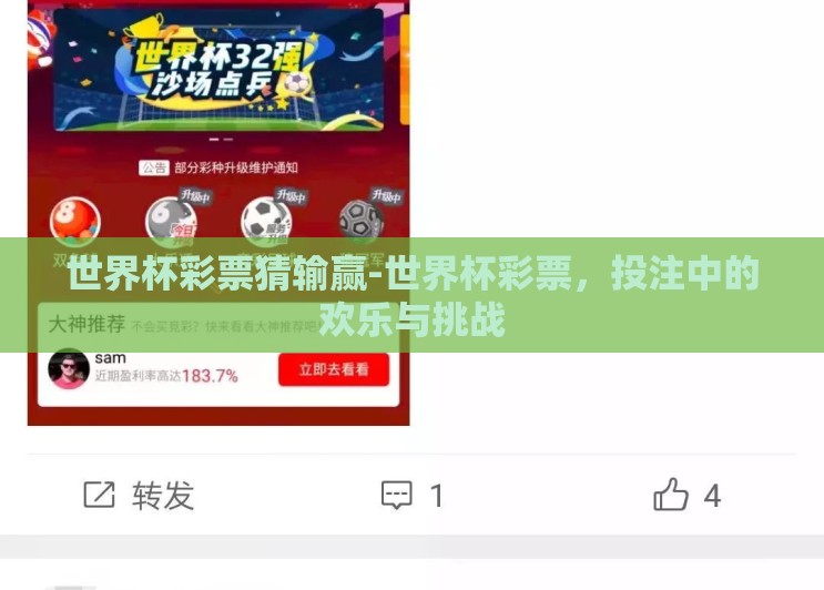 世界杯彩票猜输赢-世界杯彩票,投注中的欢乐与挑战 世界杯彩票猜输赢-世界杯彩票,投注中的欢乐与挑战