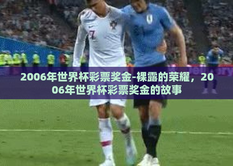 2006年世界杯彩票奖金-裸露的荣耀,2006年世界杯彩票奖金的故事 2006年世界杯彩票奖金-裸露的荣耀,2006年世界杯彩票奖金的故事