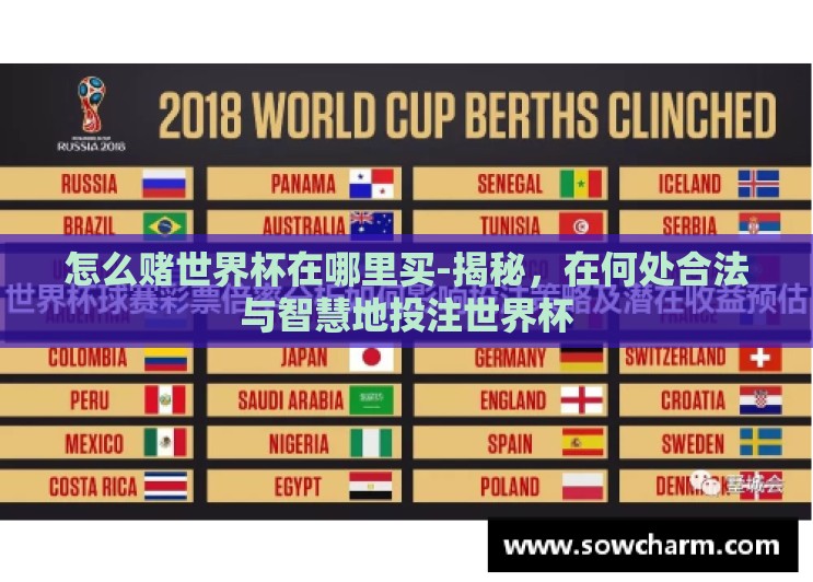 怎么赌世界杯在哪里买-揭秘,在何处合法与智慧地投注世界杯 怎么赌世界杯在哪里买-揭秘,在何处合法与智慧地投注世界杯