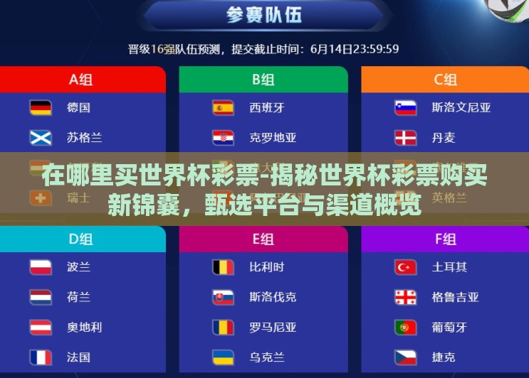 在哪里买世界杯彩票-揭秘世界杯彩票购买新锦囊，甄选平台与渠道概览