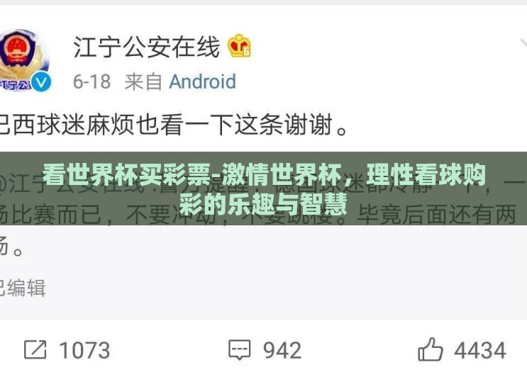 看世界杯买彩票-激情世界杯,理性看球购彩的乐趣与智慧 看世界杯买彩票-激情世界杯,理性看球购彩的乐趣与智慧