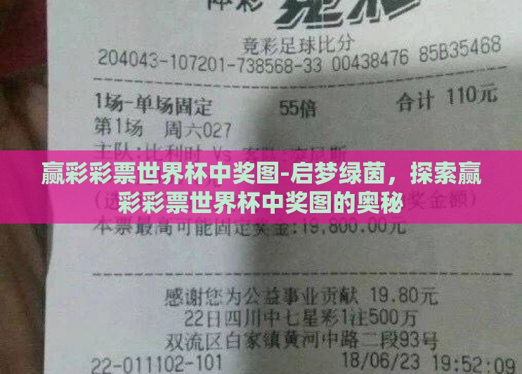 赢彩彩票世界杯中奖图-启梦绿茵，探索赢彩彩票世界杯中奖图的奥秘