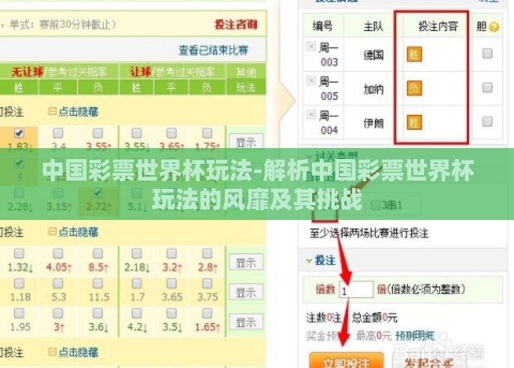 中国彩票世界杯玩法-解析中国彩票世界杯玩法的风靡及其挑战