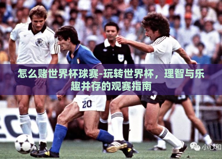 怎么赌世界杯球赛-玩转世界杯,理智与乐趣并存的观赛指南 怎么赌世界杯球赛-玩转世界杯,理智与乐趣并存的观赛指南