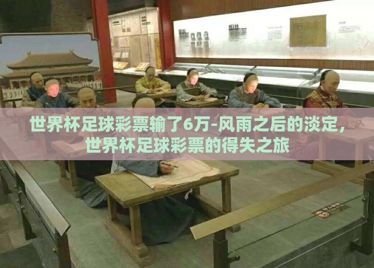 世界杯足球彩票输了6万-风雨之后的淡定，世界杯足球彩票的得失之旅