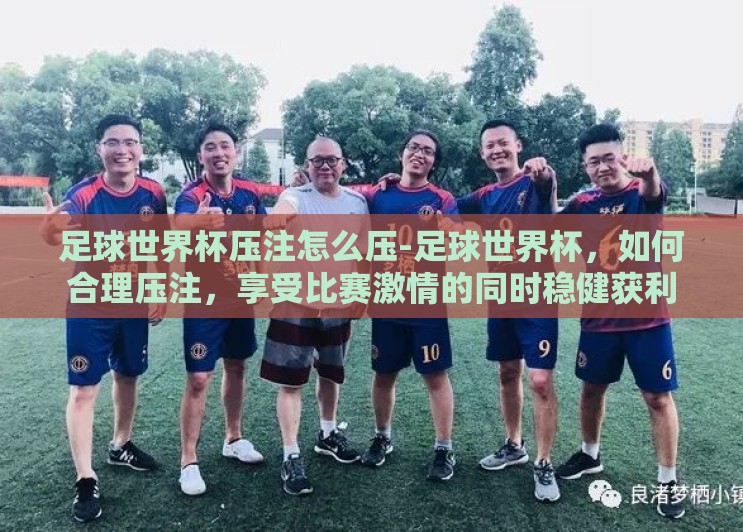 足球世界杯压注怎么压-足球世界杯，如何合理压注，享受比赛激情的同时稳健获利