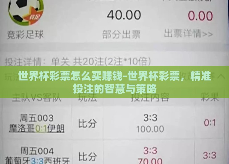 世界杯彩票怎么买赚钱-世界杯彩票，精准投注的智慧与策略