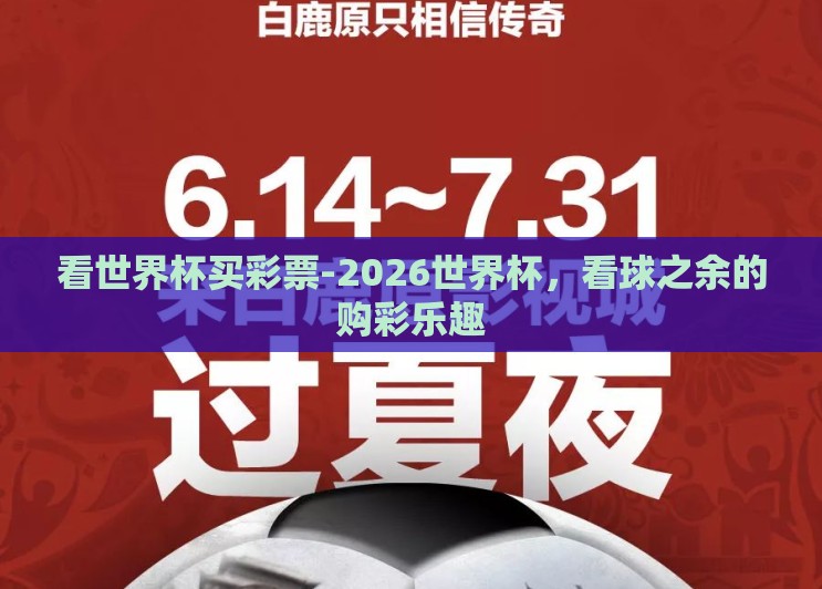 看世界杯买彩票-2026世界杯，看球之余的购彩乐趣