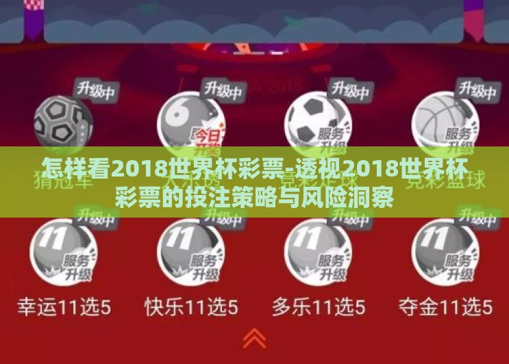 怎样看2018世界杯彩票-透视2018世界杯彩票的投注策略与风险洞察