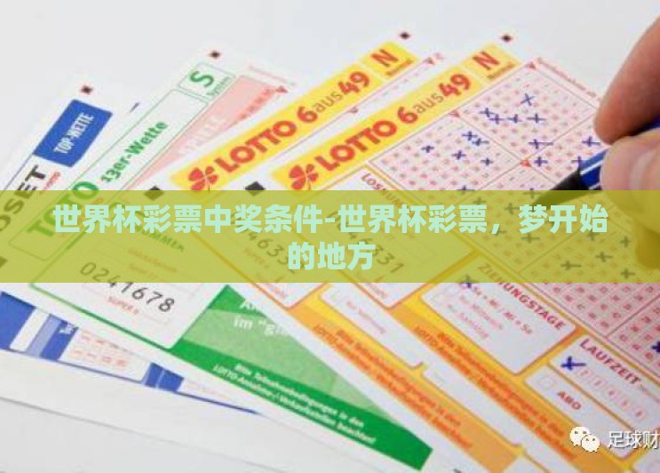 世界杯彩票中奖条件-世界杯彩票,梦开始的地方 世界杯彩票中奖条件-世界杯彩票,梦开始的地方